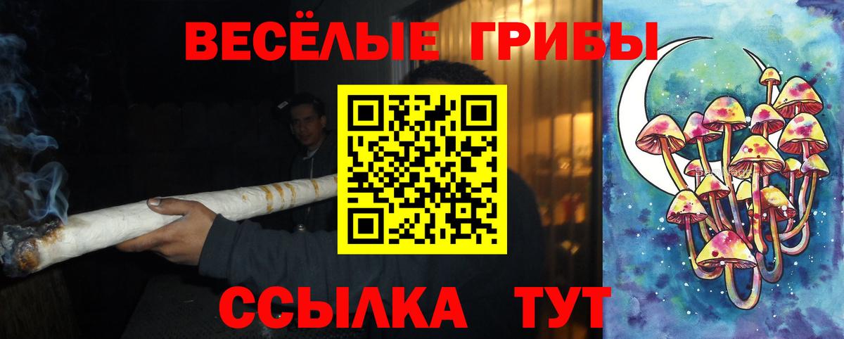 Кудрово  Галлюциногенные грибы ЛСД  Вход с VPN 