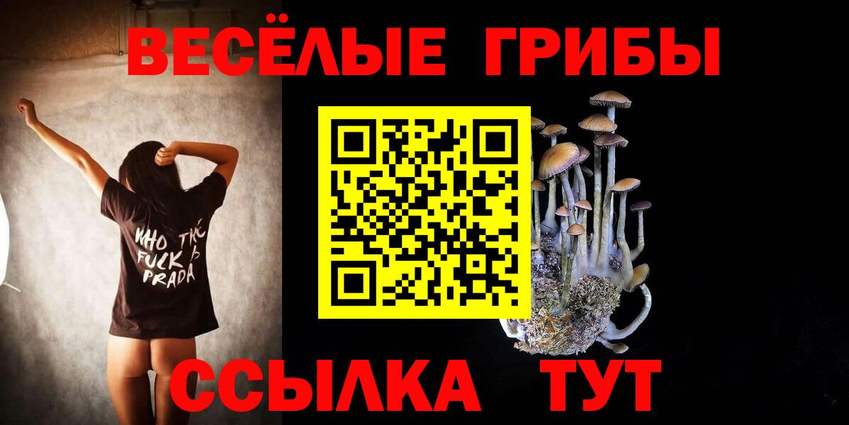 Галлюциногенные грибы ЛСД Кудрово