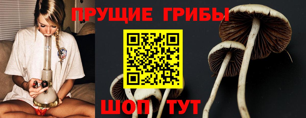 Кудрово  Alpha PVP СК кристаллы  Экстази  Купить наркотики цена  Меф   Вход с VPN  МАРИХУАНА 