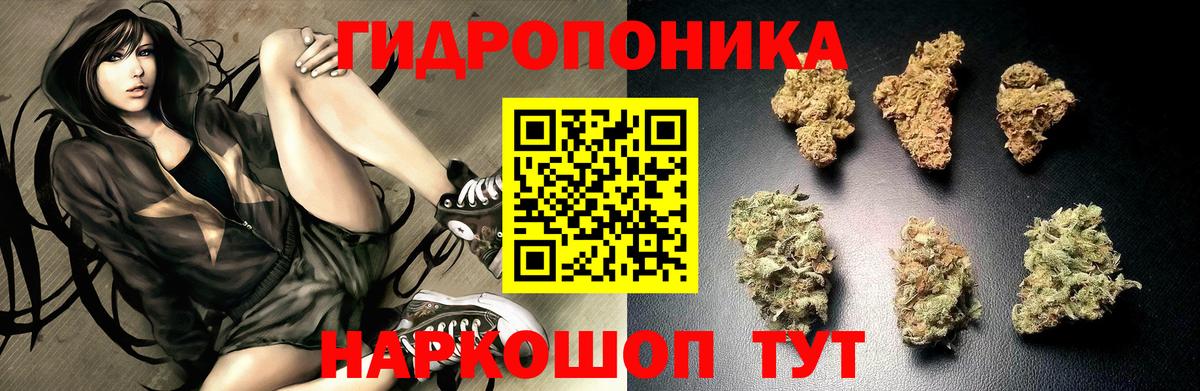 Каннабис MAZAR Кудрово